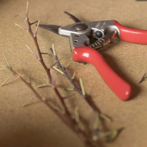 230818-Stage Hubert-006