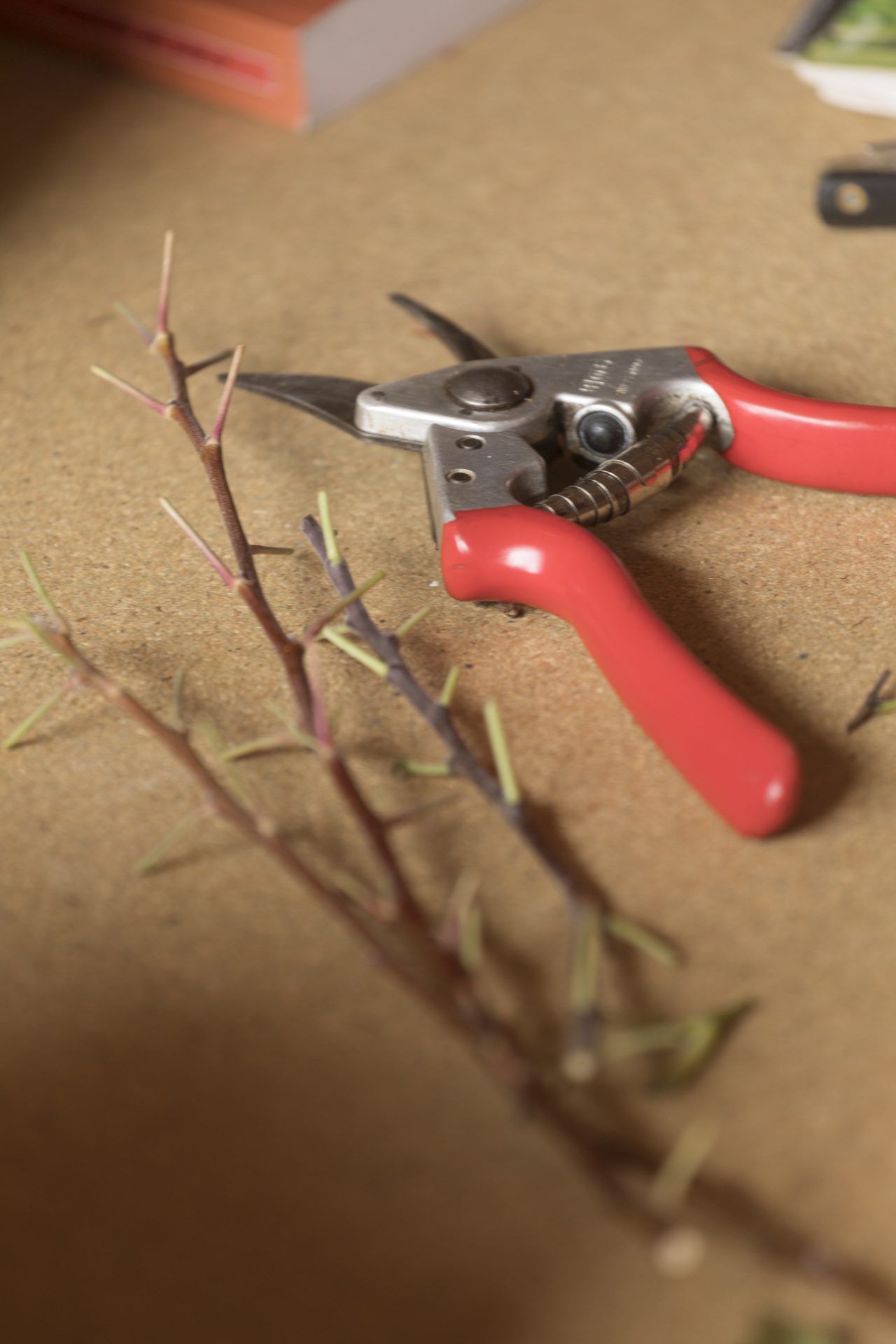 230818-Stage Hubert-006